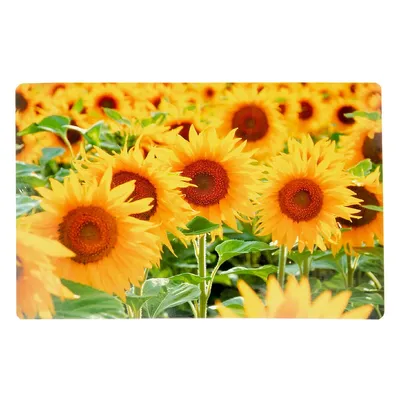 Plastic Placemat (sunflower Field)-set Of 12
