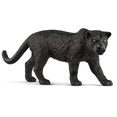 Wild Life: Black Panther