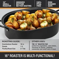 Non-Stick Roasting Pan With Lid