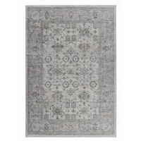Distressed Traditional Indoor Area Rug