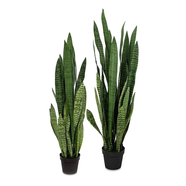 Le Present Faux Botanical Sansevieria In Green In. Height