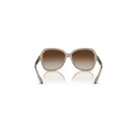 Ax4029s Sunglasses