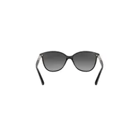 Be4216 Polarized Sunglasses