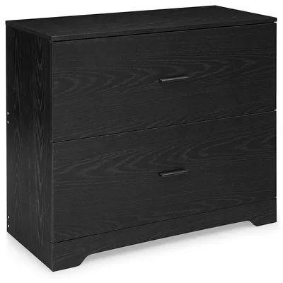 2-drawer Lateral File Cabinet W/adjustable Bars For Home Office Black