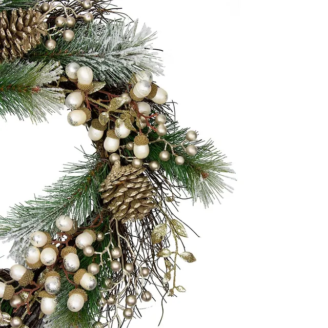 Northlight Magnolia and Frosted Pine Cones Artificial Christmas Wreath -  22-Inch, Unlit