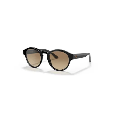 Ar8146 Sunglasses