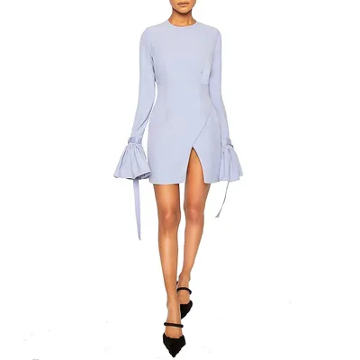 Zola: Long Sleeve Mini Dress