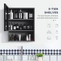Bathroom Cabinet Wall Mounted Mirror Cabinet With Shelves