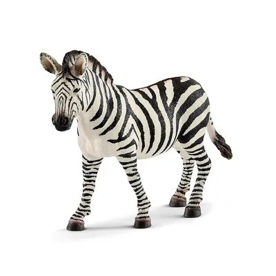 Wild Life: Zebra, Female