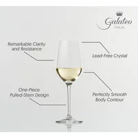 Crystal Bianco White Wine Glasses - Set Of 4