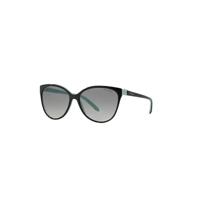 Tf4089b Sunglasses