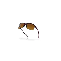 Unstoppable Polarized Sunglasses