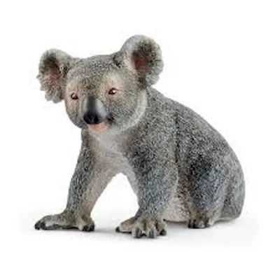 Wild Life: Koala Bear