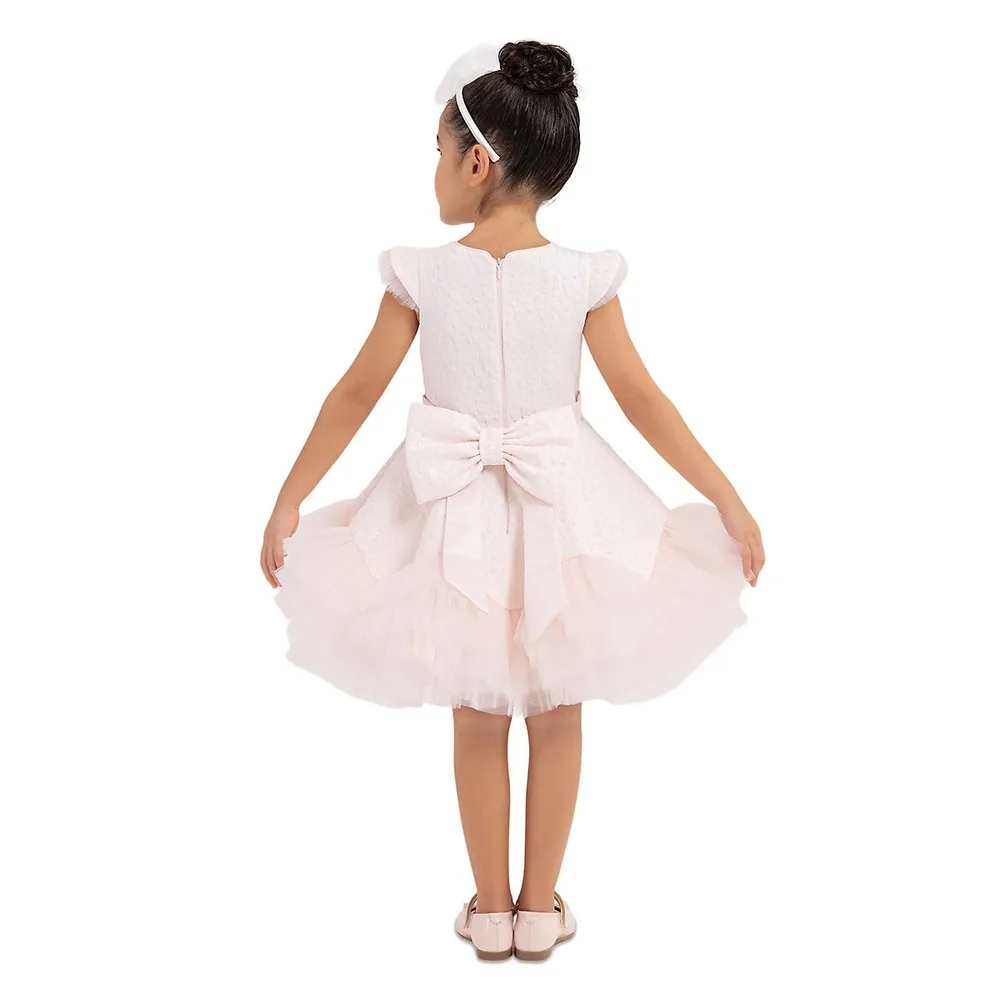 Blush Special Occasion Dress For Girls