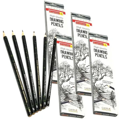 24 Pcs Camlin Drawing Pencils 10b, 8b, 6b, 4b, 2b, Hb Sketching Pencils With Graphite Lead For Architects, Engineers, Artists, Students.