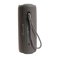 Flip 6 Wireless Portable Waterproof Speaker Gray With T110 In Ear Headphones
