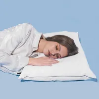 Microgel Pillow - Standard