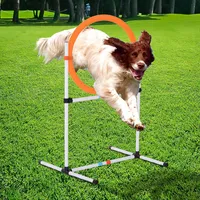Pawhut 2-in-1 Dog Obstacle Training Agility Equipment