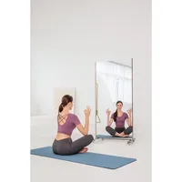 Brisafe Glassless Mirror With Stand