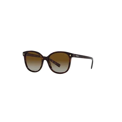 Pr 22zs Polarized Sunglasses