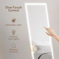 Full Length Mirror With Light 64" X 21" Wall Mounted Mirror
