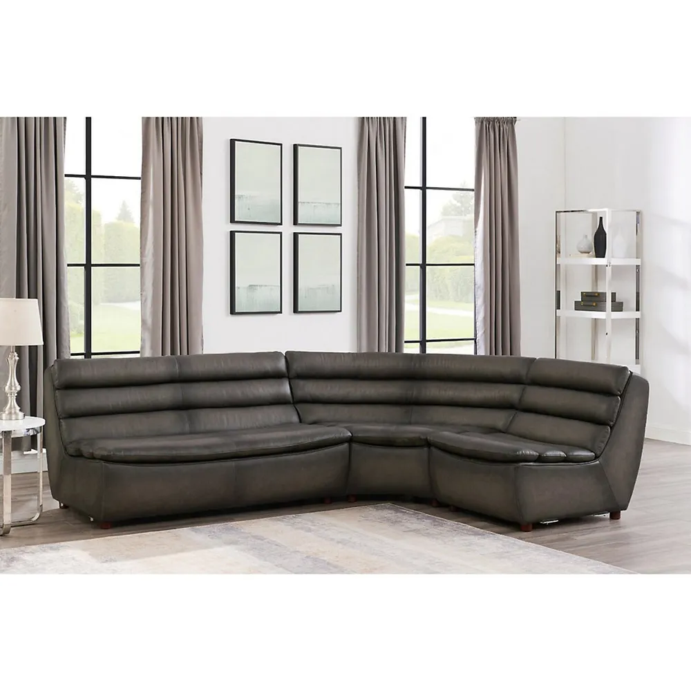 Carter 4-piece Leather Sectional