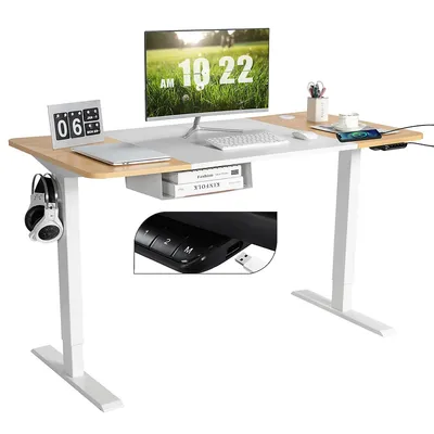 55"x28" Electric Standing Desk Adjustable Sit To Stand Table W/usb Port Whitenatural