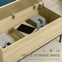 Storage Bench, Lift Top Storage Chest, Shoe Bench Toy Box