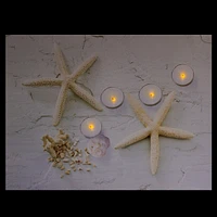 Led Lighted Starfish, Seashell And Tea Light Candles Canvas Wall Art 15.75"