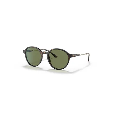 Ar8160 Sunglasses