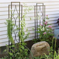 2-piece Wall Trellis With Flower Pot Supports