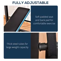 Adjustable Weight Bench With Leg Developer Barbell Rack, Black