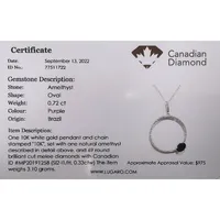 10 Karat Gold Gemstones & 0.25 Cttw Canadian Diamonds Circle Pendant And Chain