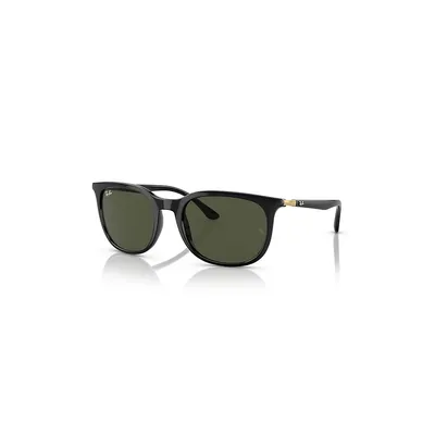 Rb4386 Polarized Sunglasses