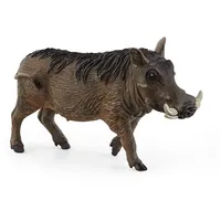 Wild Life: Warthog