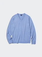 Merino Sweater | V-Neck