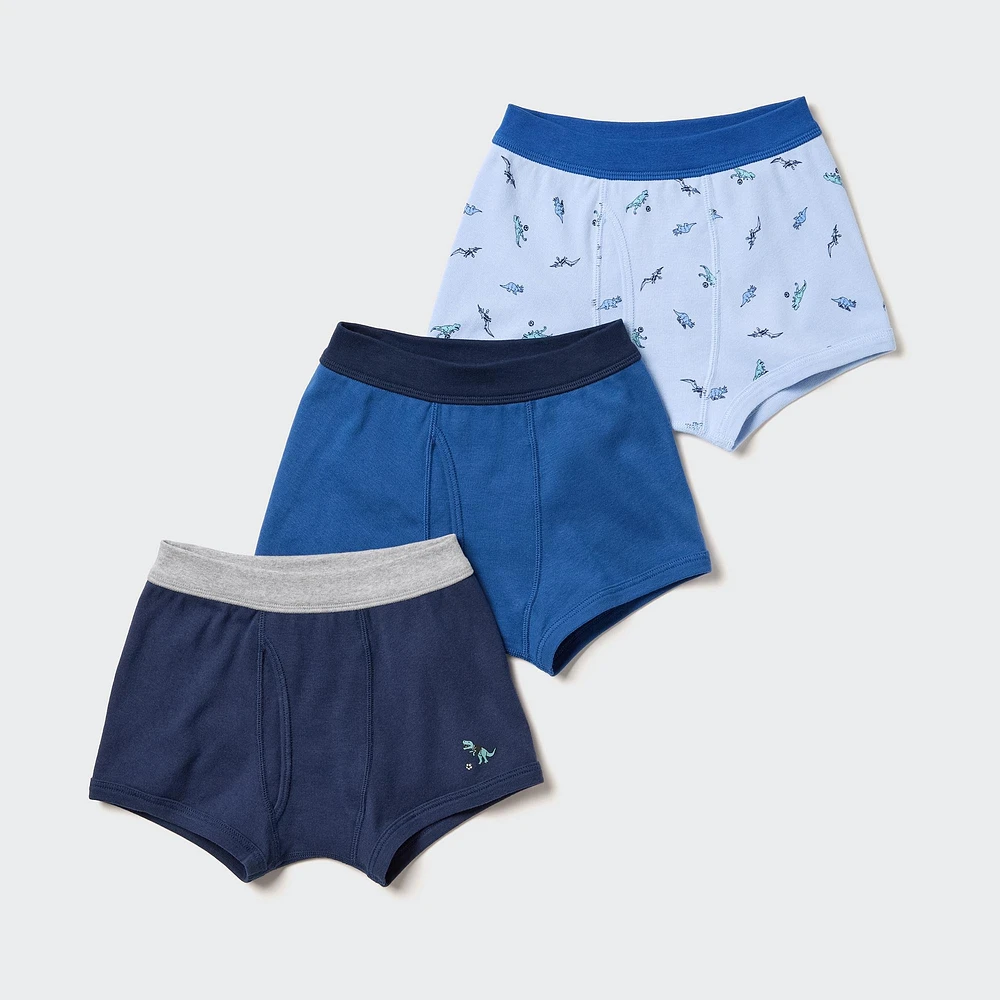 Boxer Briefs (3 Pairs)