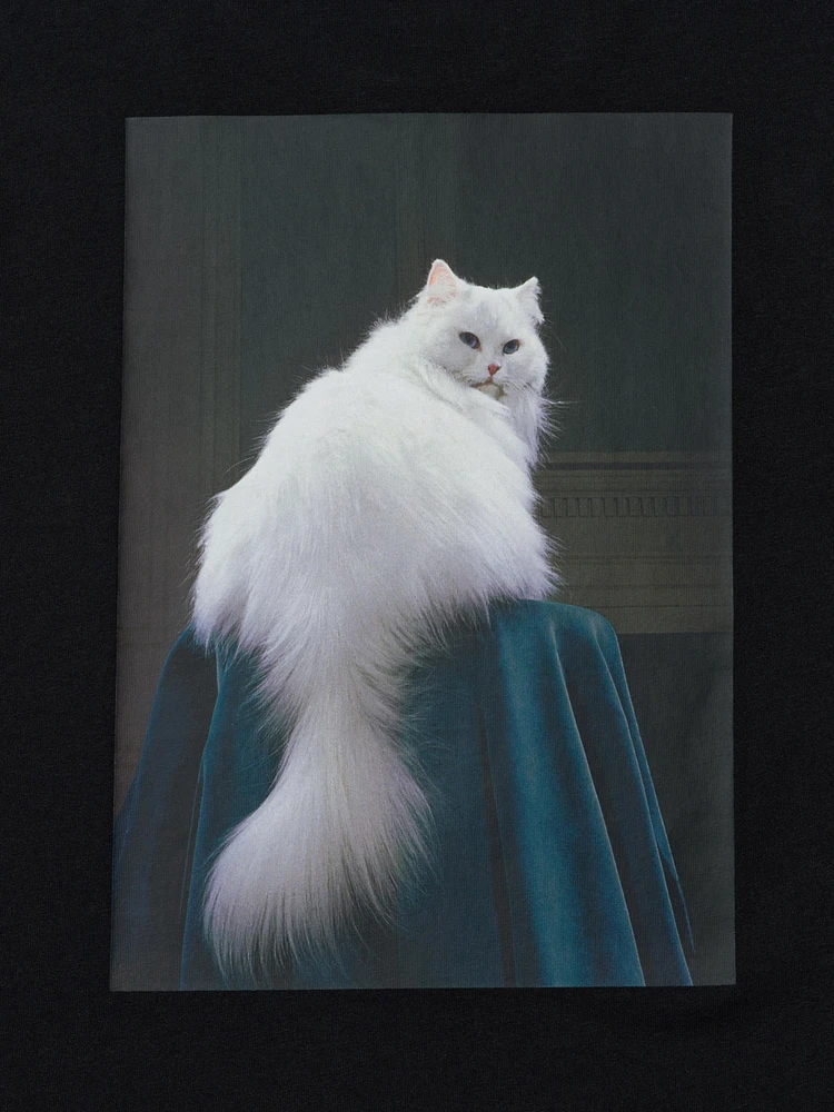 CAT PHOTOGRAPHS UT
