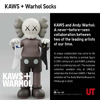 KAWS + WARHOL SOCKS