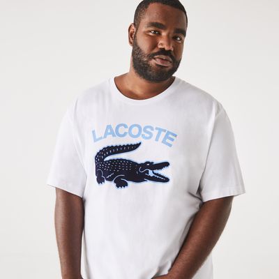 T-shirt homme avec imprimé crocodile Lacoste en jersey de coton - Grande taille