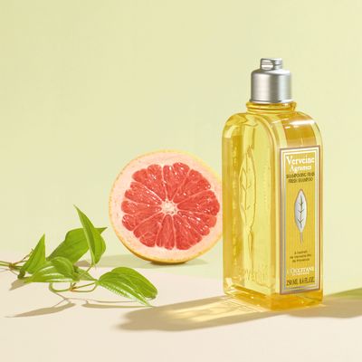 Citrus Verbena Fresh Shampoo