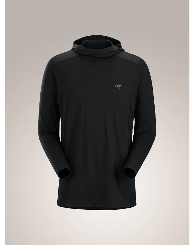 Arc'teryx Hallam Merino Wool Hoody Men's