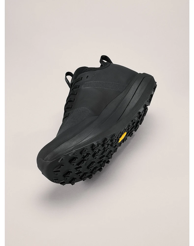 Sylan GTX Shoe Men's