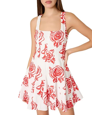 Ariel Rose Embroidered Dress