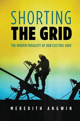 Shorting the Grid: The Hidden Fragility of Our Electric Grid (Paperback)