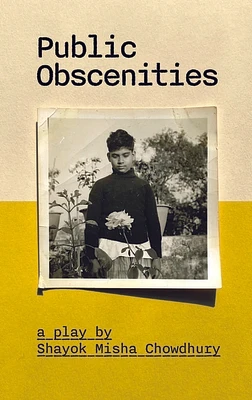 Public Obscenities (Paperback)