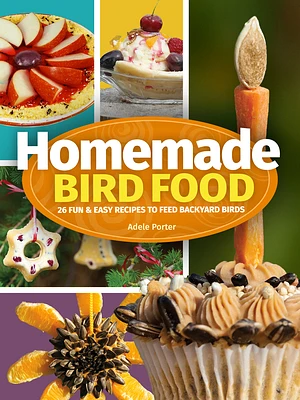 Homemade Bird Food: 26 Fun & Easy Recipes to Feed Backyard Birds (Hardcover)