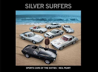 Silver Surfers (Hardcover)