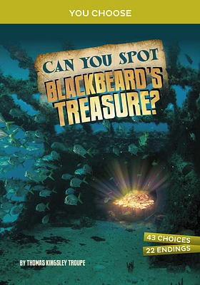 Can You Spot Blackbeard's Treasure?: An Interactive Treasure Adventure (Hardcover)