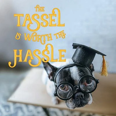 The Tassel Is Worth the Hassle (Hardcover)